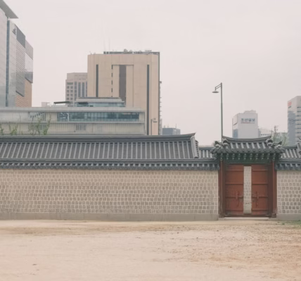 友情歲月的兄弟情 友情歲月的兄弟情