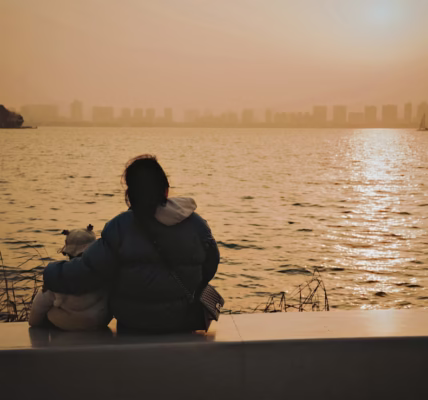 《独家记忆》里的拥抱 《独家记忆》里的拥抱