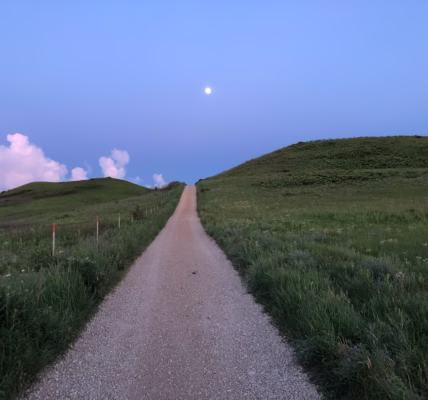 最後一首,離家前的月光 最後一首,離家前的月光