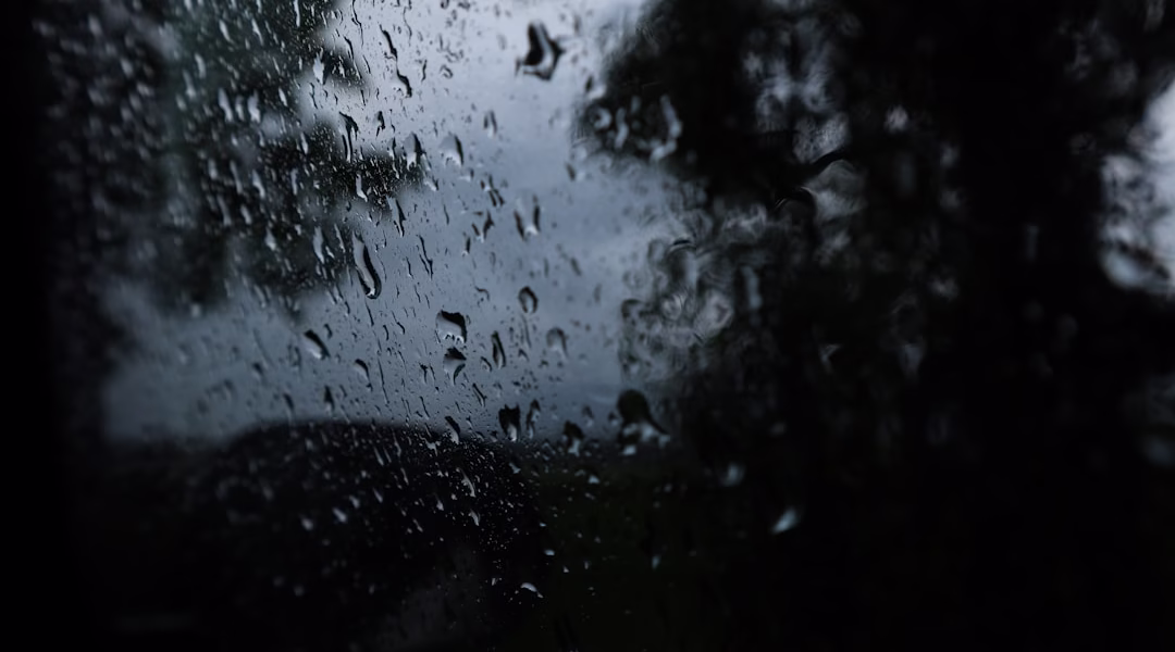 雨中心漂泊 雨中心漂泊