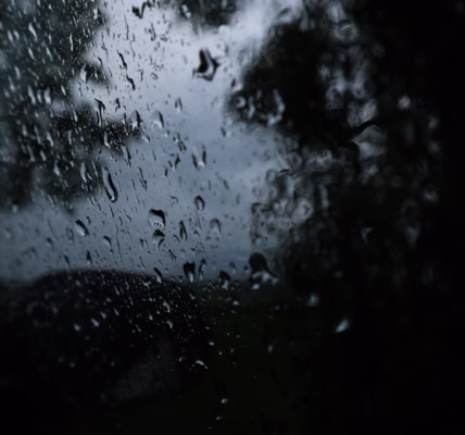 雨中心漂泊 雨中心漂泊