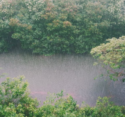 雨夜的星光,映出我的旅程 雨夜的星光,映出我的旅程