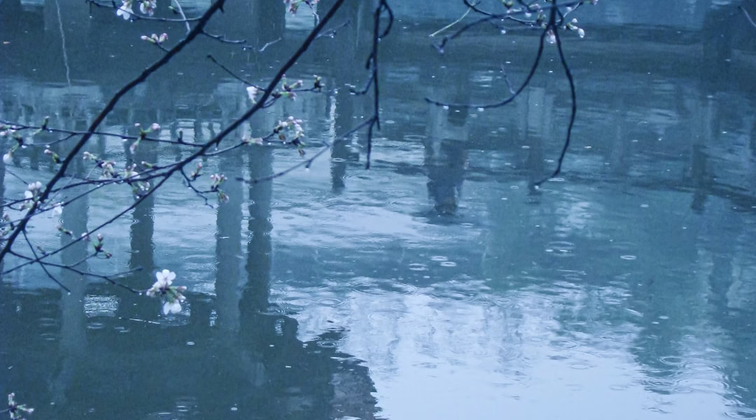 雲河裡的浪漫幻想 雲河裡的浪漫幻想