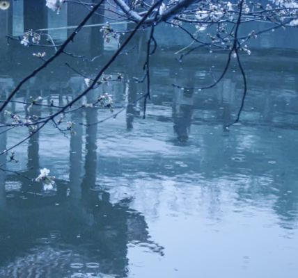 雲河裡的浪漫幻想 雲河裡的浪漫幻想