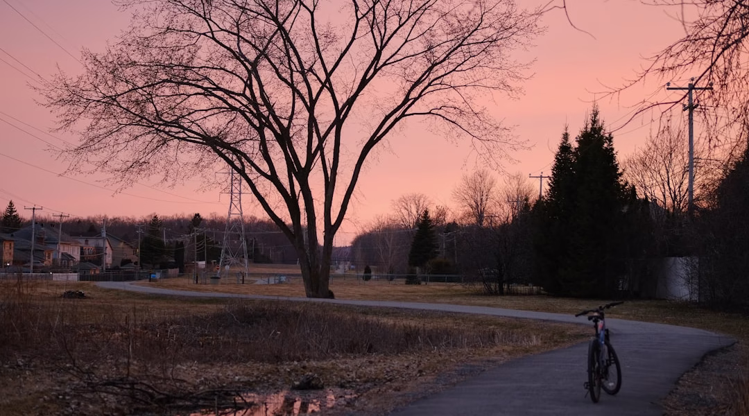 恰似你的溫柔,輕敲心扉 恰似你的溫柔,輕敲心扉
