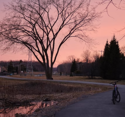 恰似你的溫柔，輕敲心扉