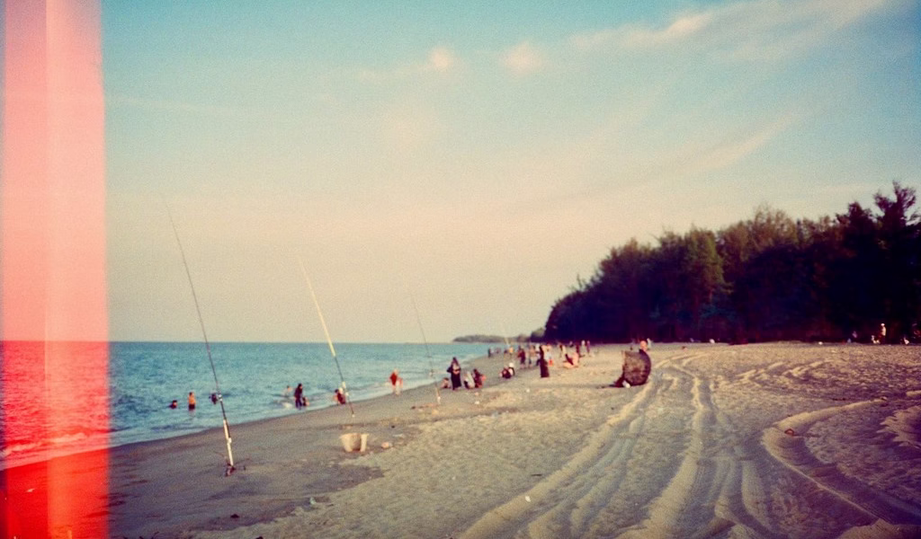 舊夢，夏日海岸的呼喚